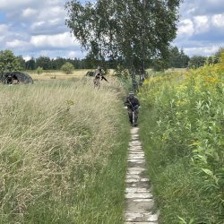 Kawalerski - Podkarpacie